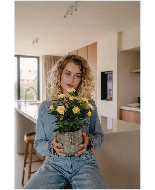 Una mujer con cabello rubio rizado, vestida con ropa vaquera, sentada en una cocina moderna con la Planta Artificial Mini Rose UV 35 cm amarilla en sus manos y mira directamente a la cámara.
