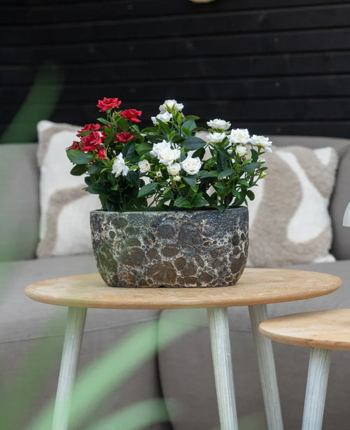Una planta artificial de jardín rosa de 35 cm color crema UV se encuentra sobre una mesa redonda de madera frente a un sofá beige con cojines estampados.