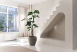 Habitación minimalista y soleada con grandes ventanales, una planta artificial Monstera de 210 cm, moqueta beige y una singular escalera blanca con un nicho abovedado debajo. Cortinas claras y una planta en el alféizar de la ventana completan el sereno espacio.