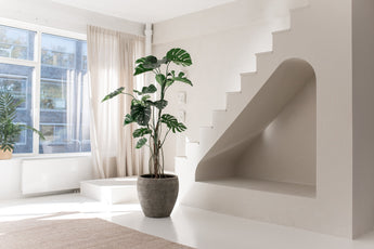 Habitación minimalista y soleada con grandes ventanales, una planta artificial Monstera de 210 cm, moqueta beige y una singular escalera blanca con un nicho abovedado debajo. Cortinas claras y una planta en el alféizar de la ventana completan el sereno espacio.