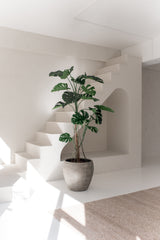 La planta artificial Monstera de 210 cm se encuentra en un interior minimalista y soleado con paredes blancas, líneas modernas, una escalera y una alfombra beige. La suave luz natural enfatiza el elegante diseño de la habitación.