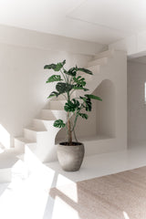 La Planta Artificial Monstera de 210 cm, con amplias hojas verdes, se alza sobre un suelo blanco en una habitación luminosa y minimalista con paredes blancas, una escalera y luz natural.