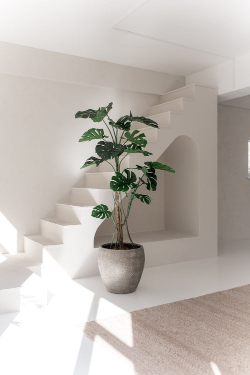 La Planta Artificial Monstera de 210 cm, con amplias hojas verdes, se alza sobre un suelo blanco en una habitación luminosa y minimalista con paredes blancas, una escalera y luz natural.