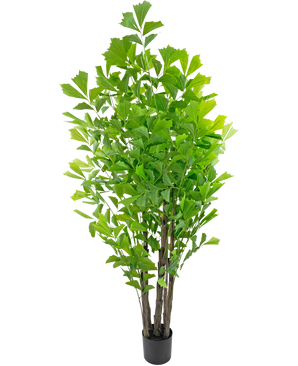 Planta artificial Palma cola de pez 210 cm