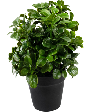 Planta artificial Petonia 24 cm