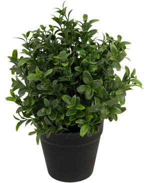 Planta artificial Murraya 21 cm