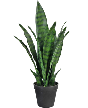 Planta artificial Sansevieria Zeylanica 44 cm