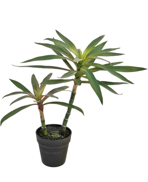 Planta artificial Yucca gigantea 53 cm