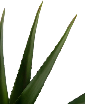 Planta artificial Aloe Vera 45 cm