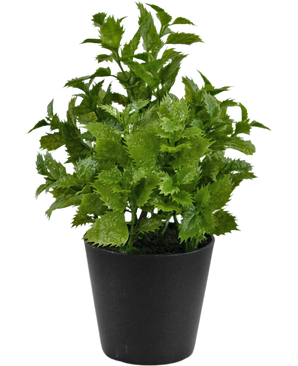 Planta artificial Perilla 25 cm