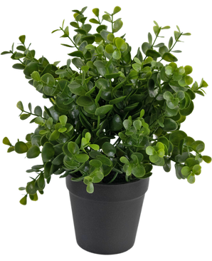 Planta artificial Pumila 25 cm