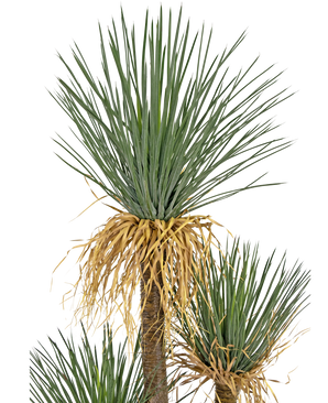 Planta artificial Yucca deluxe 182 cm