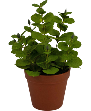 Planta artificial Menta 30 cm