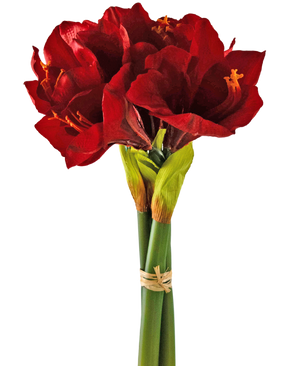 Ramo de flor artificial Amarilis rojo 36 cm