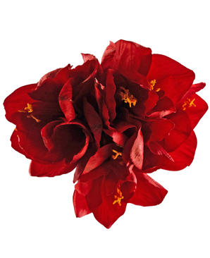 Ramo de flor artificial Amarilis rojo 36 cm
