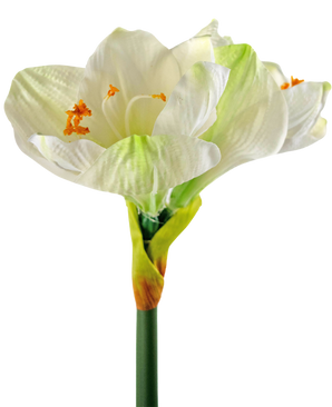Ramo de flor artificial Amarilis blanco 66 cm