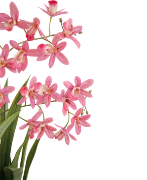 Planta artificial Mini Cymbidium Tacto real 58 cm rosa