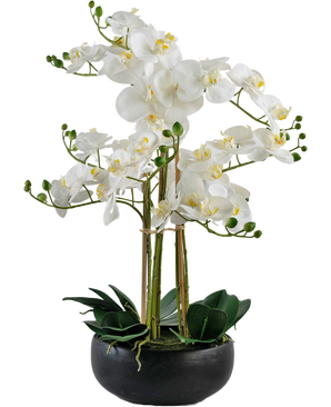 Orquídea artificial Tacto real 50 cm blanca en maceta negra