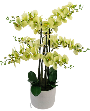 Orquídea Artificial Tacto real 81 cm verde