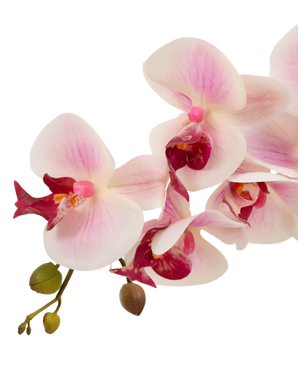 Orquídea artificial Tacto real 60 cm rosa/blanco