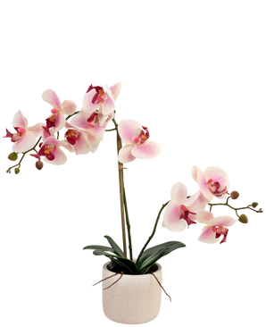 Orquídea artificial Tacto real 60 cm rosa/blanco