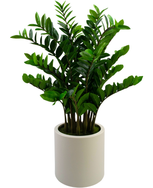 Planta artificial Zamioculcas lista en maceta beige 120 cm