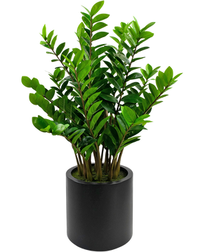 Planta artificial Zamioculcas lista en maceta negra 120 cm