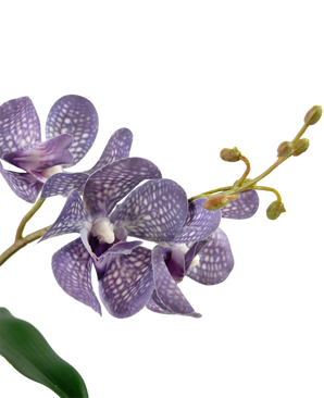 Ascocenda artificial 50 cm morada