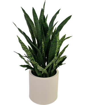 Sansevieria Zylanica artificial 43 cm lista para usar en maceta beige