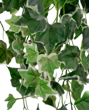 Hiedra Planta Artificial 130 cm verde/blanco