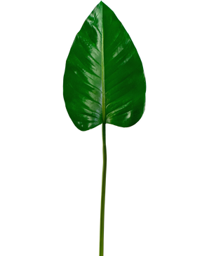 Hoja artificial Alocasia 78cm