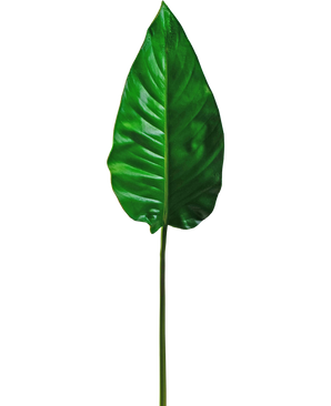 Hoja artificial Alocasia 76cm