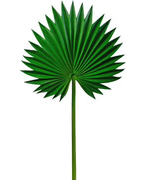 Hoja artificial Washingtonia 73cm