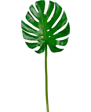 Hoja artificial Monstera 88cm