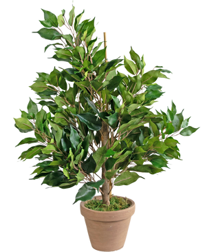 Planta Artificial Ficus 60 cm en maceta