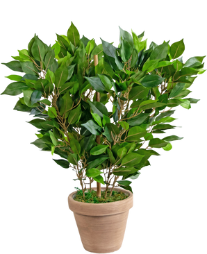 Planta Artificial Mini Ficus 45 cm en maceta