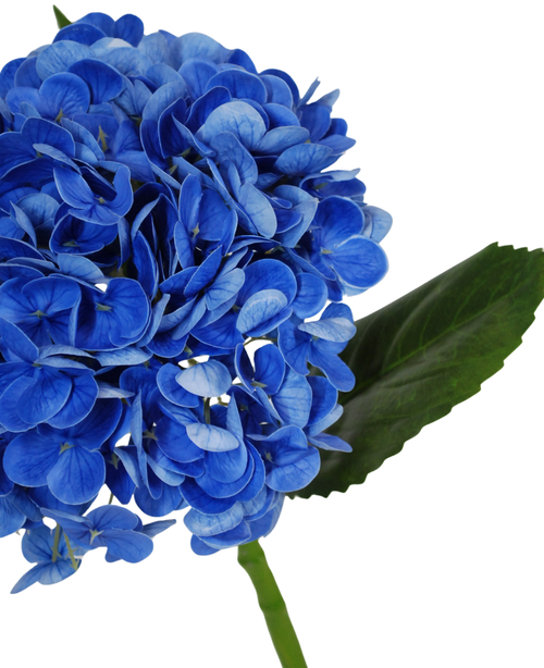 Un primer plano de la flor artificial Charlotte Hortensia Real Touch en azul oscuro (55 cm), que presenta una flor de hortensia artificial de color azul vibrante con hojas y tallo verdes, sobre un fondo blanco.