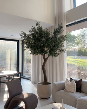 Un olivo artificial de 270 cm sin aceitunas en una elegante maceta se encuentra junto a ventanas altas con cortinas blancas en un salón moderno y soleado con muebles en colores neutros.