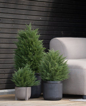 De Kunstplant Conifeer UV 40 cm kunstconiferen staan op een houten terras naast een lichtgrijze buitenbank, tegen een moderne muur met donkere houten panelen.