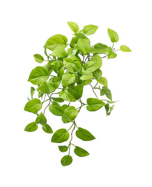 Arbusto Artificial Pothos Deluxe 60cm