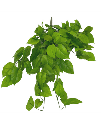 Arbusto Artificial Pothos Deluxe 90cm