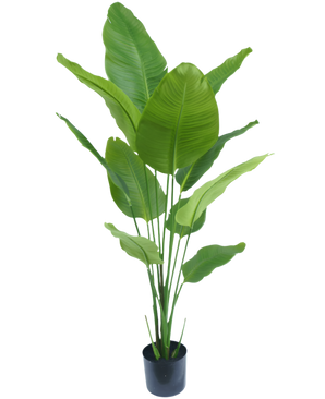 Ave del Paraiso Planta artificial Strelitzia 150 cm tacto real
