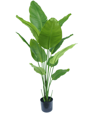 Ave del Paraiso Planta artificial Strelitzia 150 cm tacto real