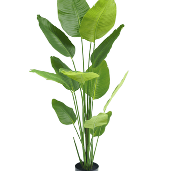 Ave del Paraiso Planta artificial Strelitzia 180 cm tacto real