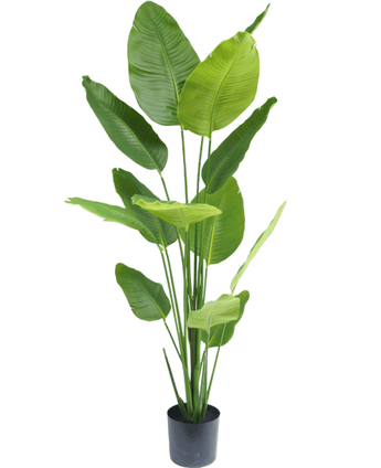 Ave del Paraiso Planta artificial Strelitzia 180 cm tacto real