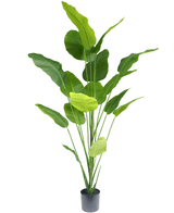 Ave del Paraiso Planta artificial Strelitzia 210 cm tacto real