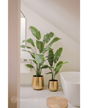 Ave del Paraiso Planta artificial Strelitzia Nicolai Deluxe 185 cm