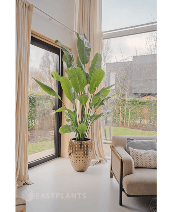 Ave del Paraiso Planta artificial Strelitzia Nicolai Deluxe 235 cm