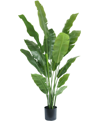 Ave del Paraiso Planta artificial Strelitzia Nicolai Deluxe 185 cm