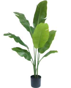Ave del Paraiso Planta artificial Strelitzia Nicolai Deluxe 120 cm